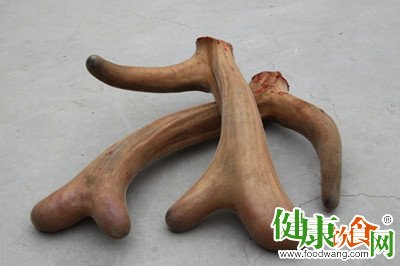 鹿茸怎么吃?这五类人不宜服用鹿茸