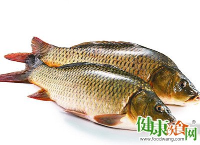 保鲜活鱼试试这三个方法