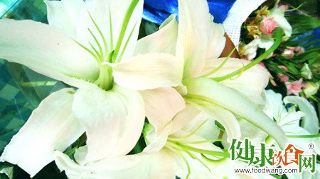秋天吃什么养生?介绍几则适合秋季的百合润燥食疗方