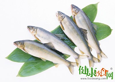饮食谚语求证:为什么说“鱼生火,肉生痰”