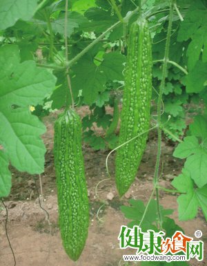 夏天吃什么好?夏季必吃经典四大样