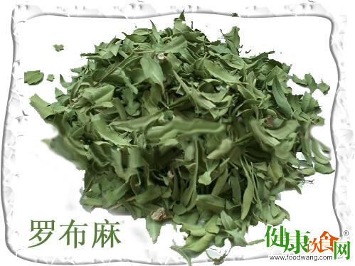 罗布麻的降压效果很有限只能辅助降血压