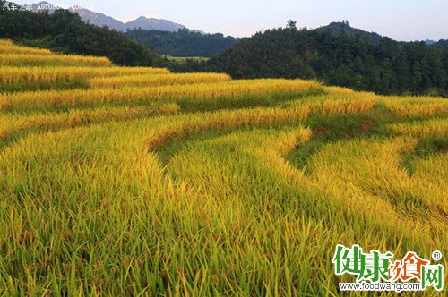 初秋养生既要防暑又要御寒