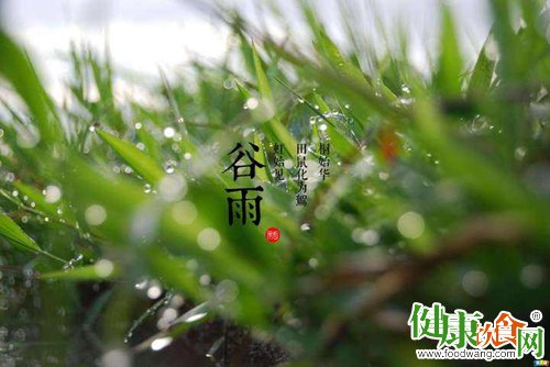 谷雨时节养生应当遵循这四个原则