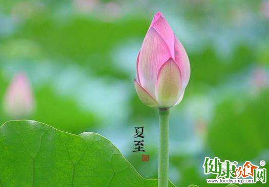 夏至节气养生要注意补阳祛湿