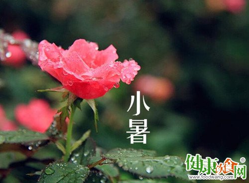小暑吃什么?小暑养生可食三道菜