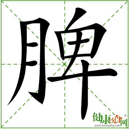 夏季养生先养脾