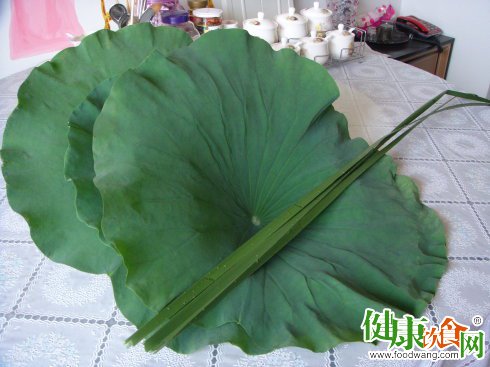 夏天吃什么好?荷叶入肴飘清热解暑