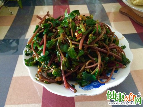 夏季良药佳蔬——马齿苋的功效