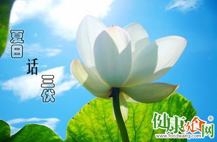 三伏天养生:补水健脾 安度三伏