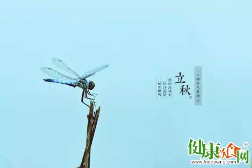 立秋“热情”不减要做好养生