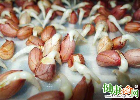 花生发芽会让营养加倍