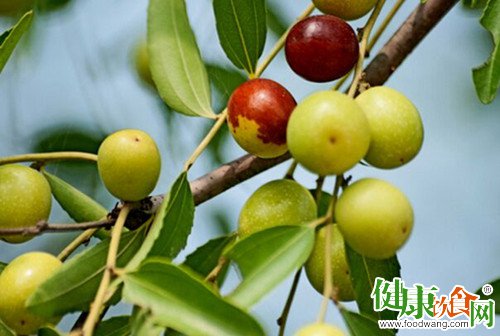 秋季水果:酸枣是“枣中之王”
