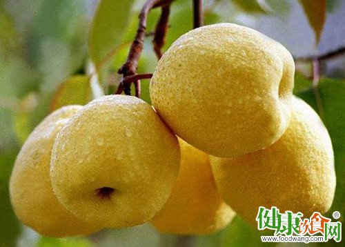 秋季吃梨养生要分生熟