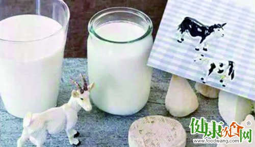 羊奶比牛奶好吗?应该选择哪种奶?