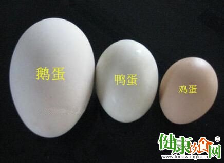 哪种蛋好?鸡蛋、鸭蛋、鹅蛋各有所长