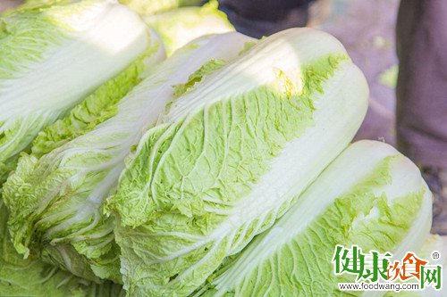 冬令大白菜营养又“百搭”