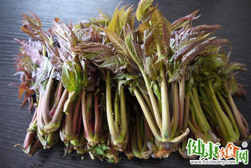 春季美食:教您做四道美味香椿菜